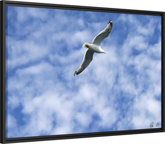 Flight of Solace, Framed Matte Canvas Print